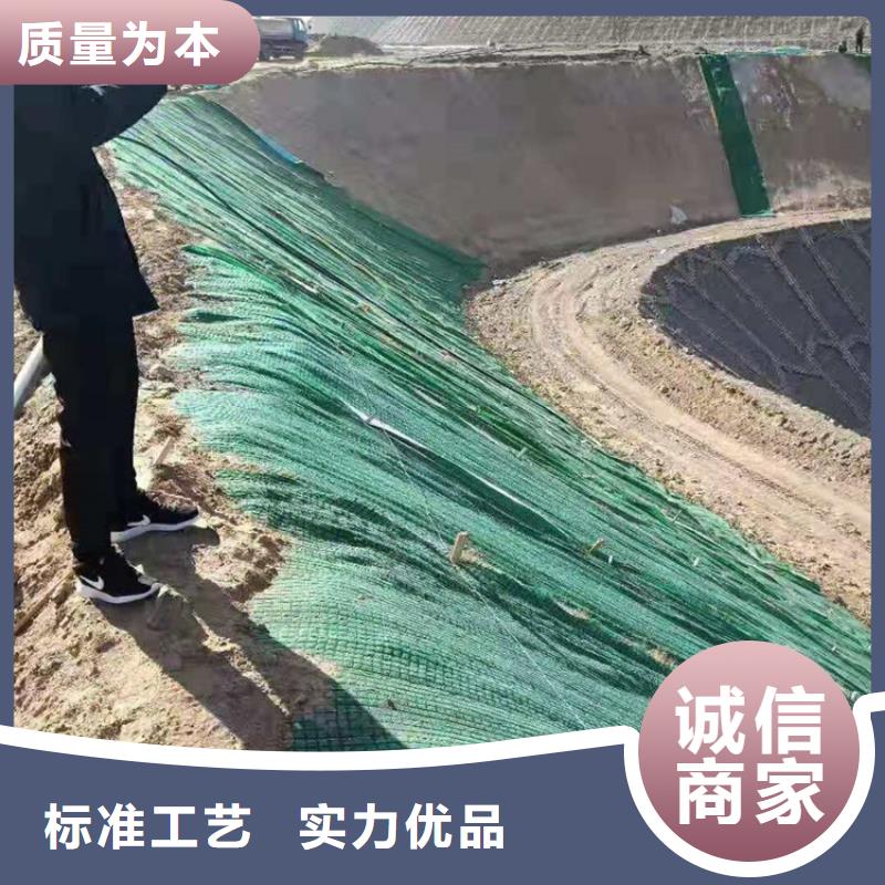 椰丝毯膨润土防水毯追求细节品质