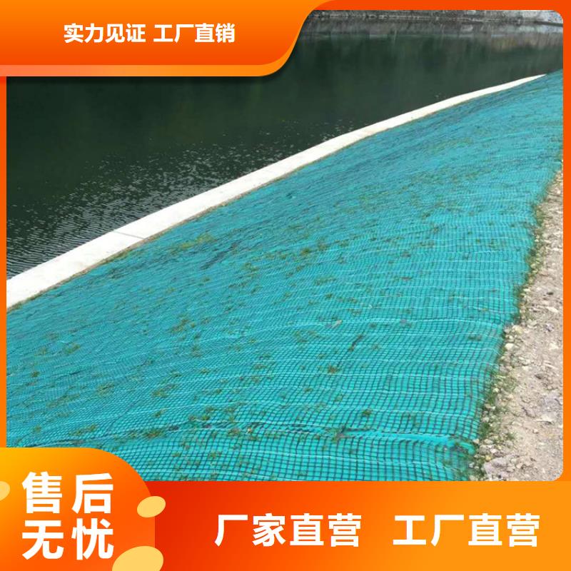 椰丝毯塑料盲沟产地直销