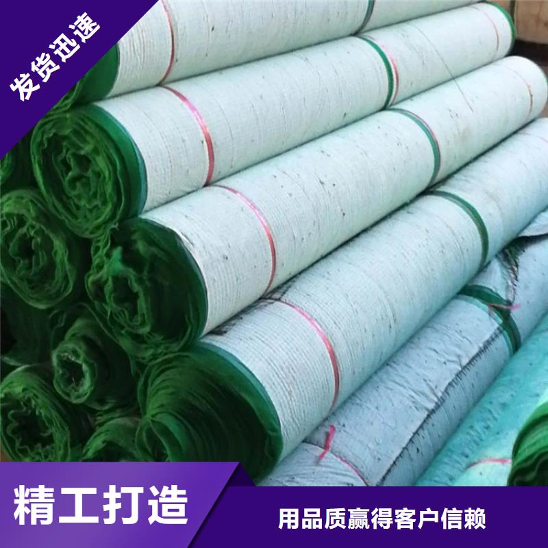 椰纤植生毯-植物生态防护毯