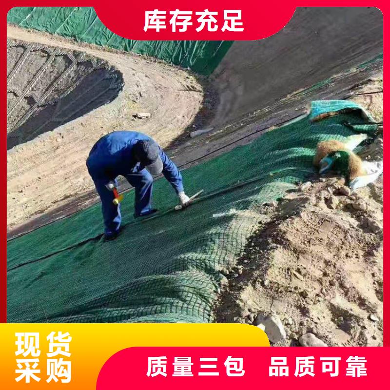 植物生態(tài)防護毯-護坡植被植草毯-纖維植生毯