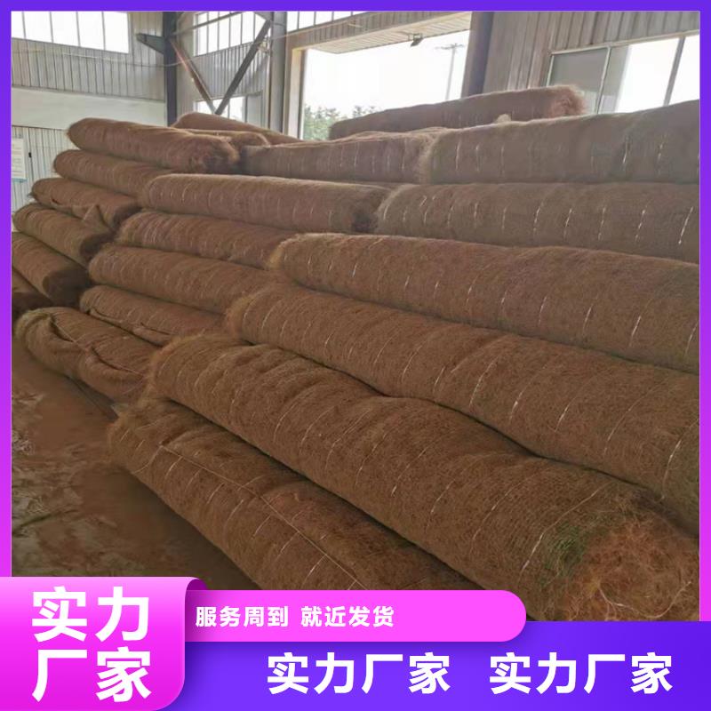 椰絲毯排水板標(biāo)準(zhǔn)工藝
