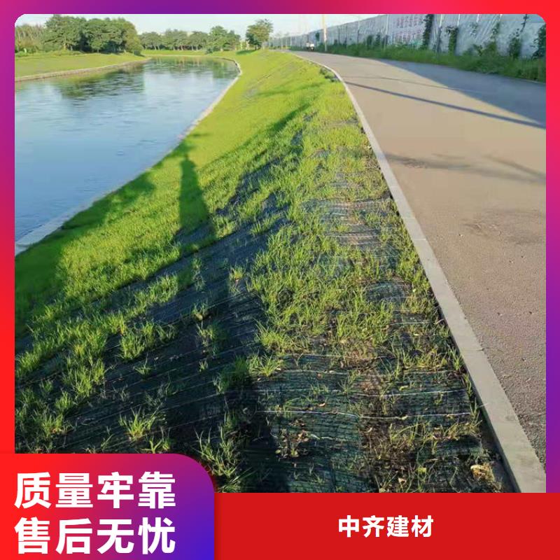 植生椰絲毯-加筋抗沖生態(tài)毯