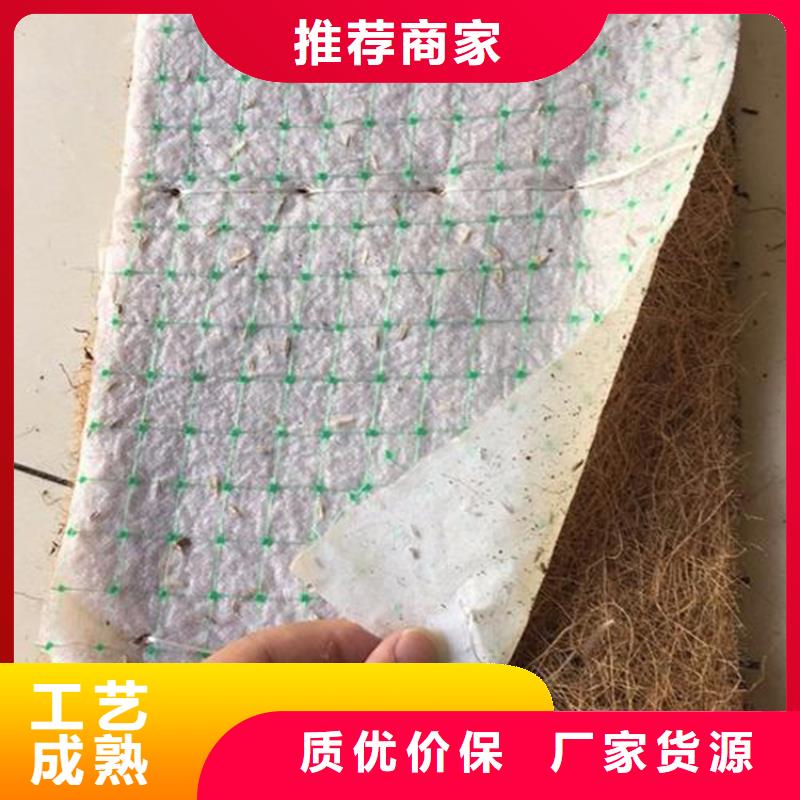 椰丝毯塑料盲沟产地直销