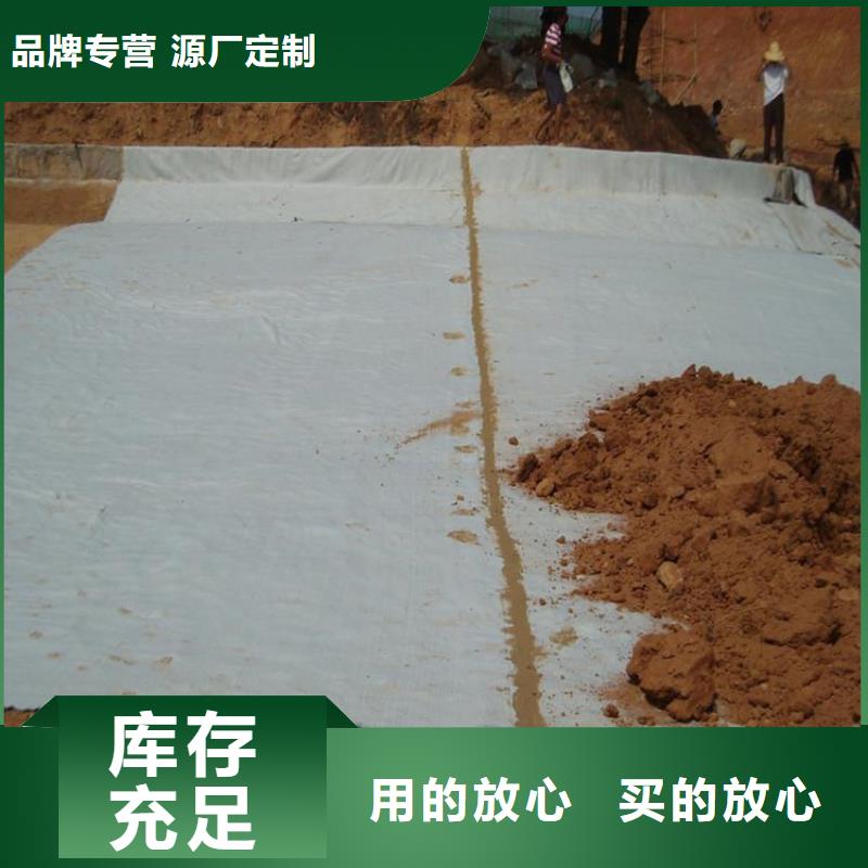 膨潤土防水毯滌綸格柵品質(zhì)優(yōu)選
