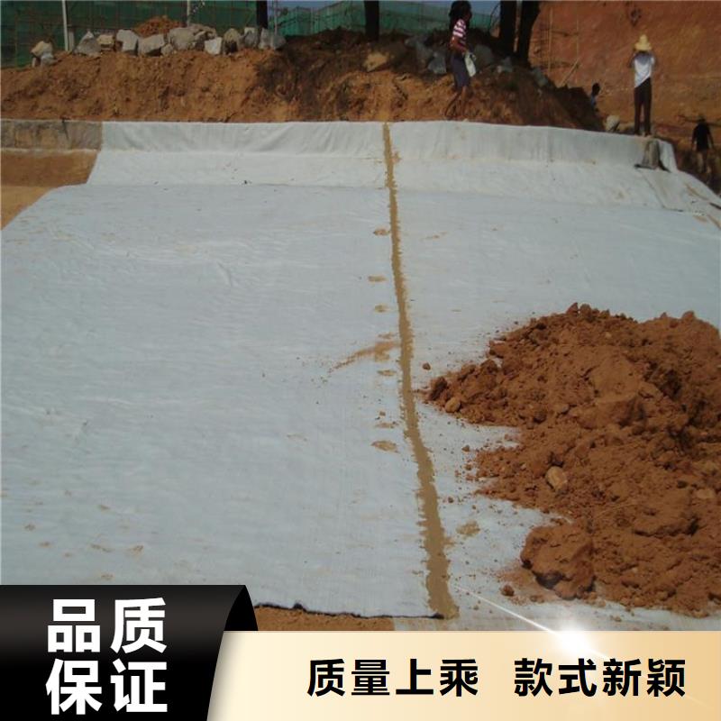 膨潤(rùn)土防水毯_塑料格柵廠家售后完善