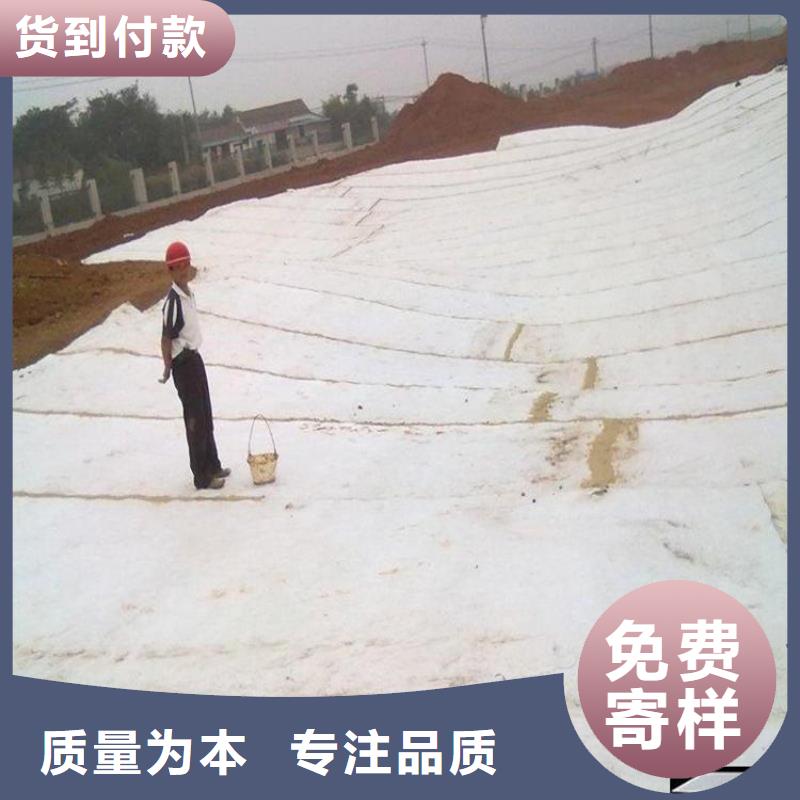 膨潤土防水毯-玻纖格柵支持定制