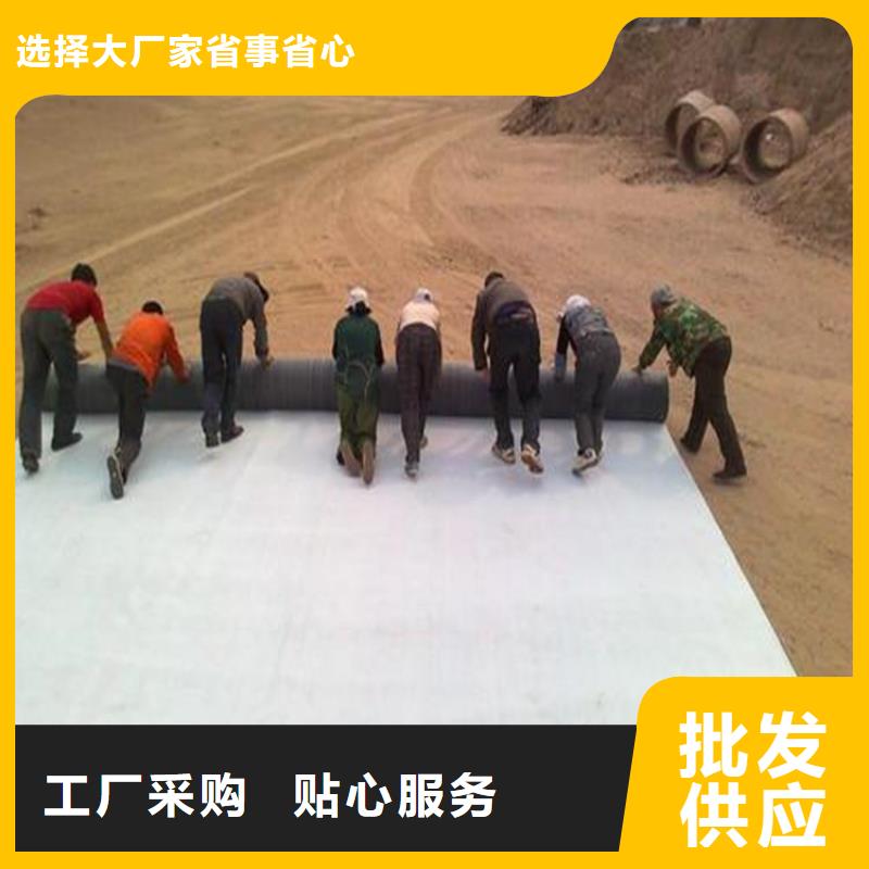 膨潤(rùn)土防水毯_塑料格柵廠家售后完善