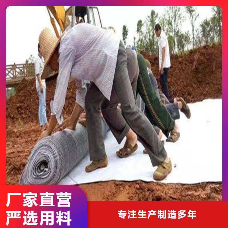 膨潤(rùn)土防水毯土工布追求細(xì)節(jié)品質(zhì)