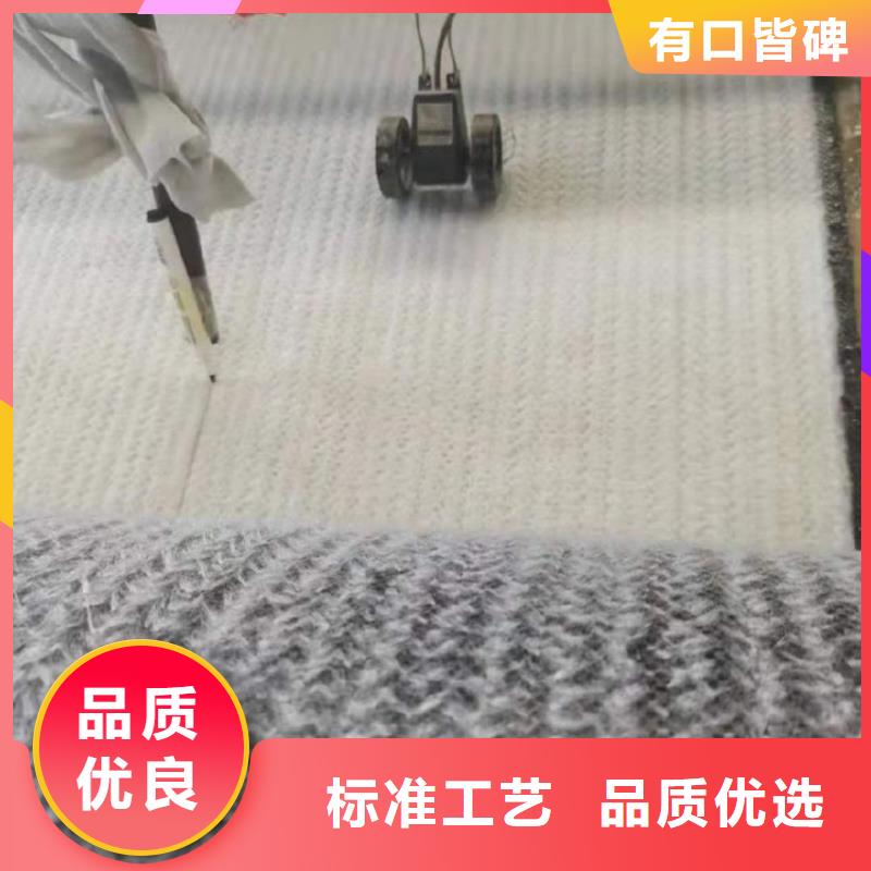 膨潤土防水毯防水毯技術(shù)先進(jìn)