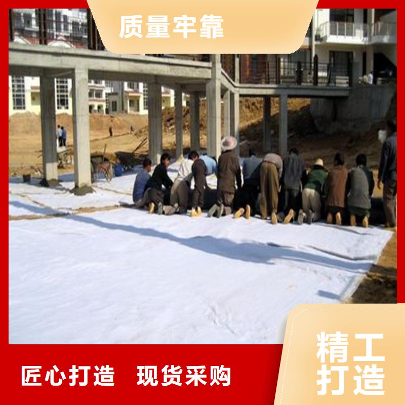 膨潤土防水毯-土工布源廠定制