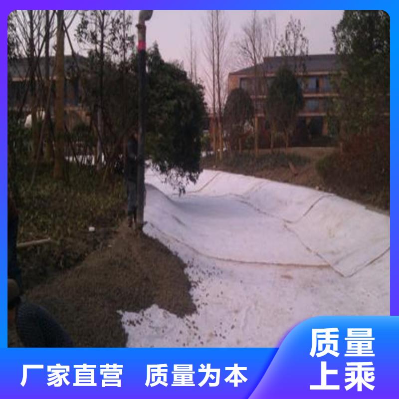 膨润土防水毯-土工布源厂定制