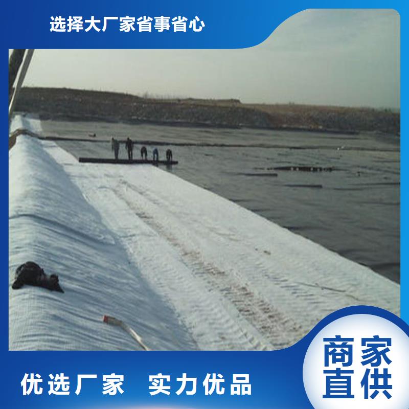 膨潤土防水毯-玻纖格柵支持定制