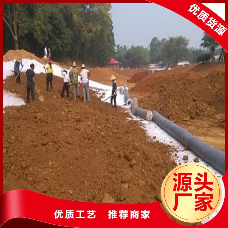膨潤(rùn)土防水毯土工布追求細(xì)節(jié)品質(zhì)