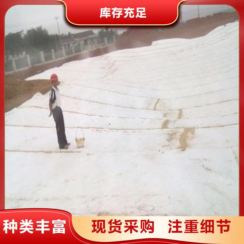 膨潤(rùn)土防水毯土工布追求細(xì)節(jié)品質(zhì)