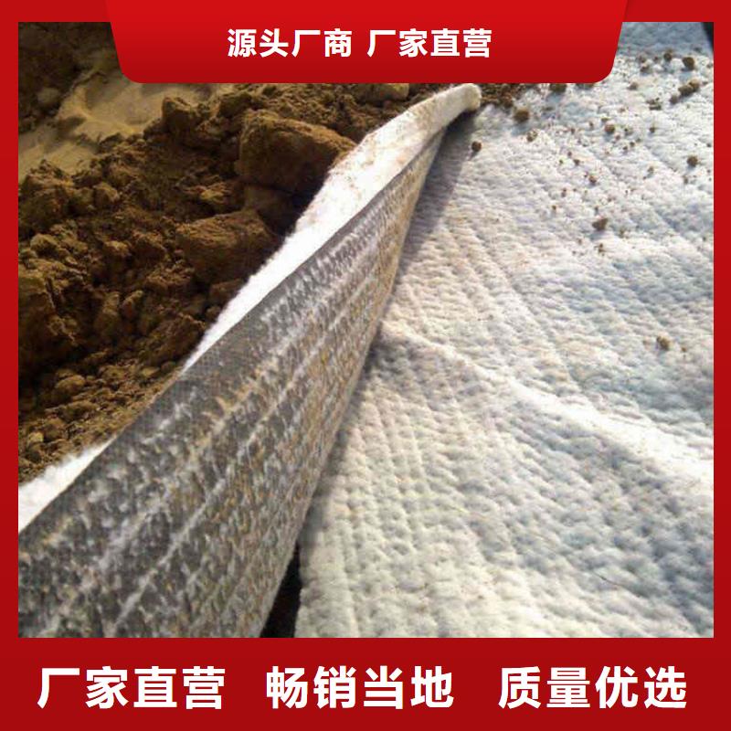 膨潤(rùn)土防水毯土工布追求細(xì)節(jié)品質(zhì)