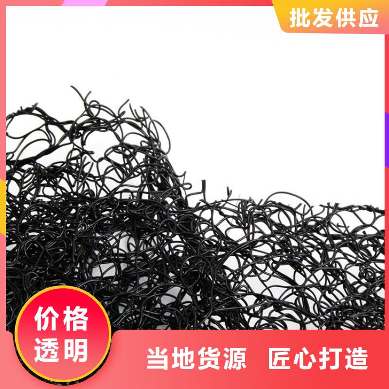 通風降噪絲網鋼塑土工格柵放心得選擇