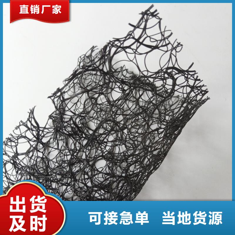 通風降噪絲網鋼塑土工格柵放心得選擇