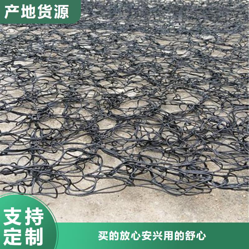 通风降噪丝网土工格栅精选货源