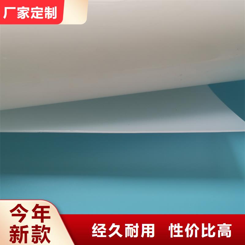 防水板雙向土工格柵貨源充足