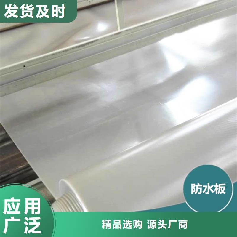 【防水板钢塑格栅产品优良】