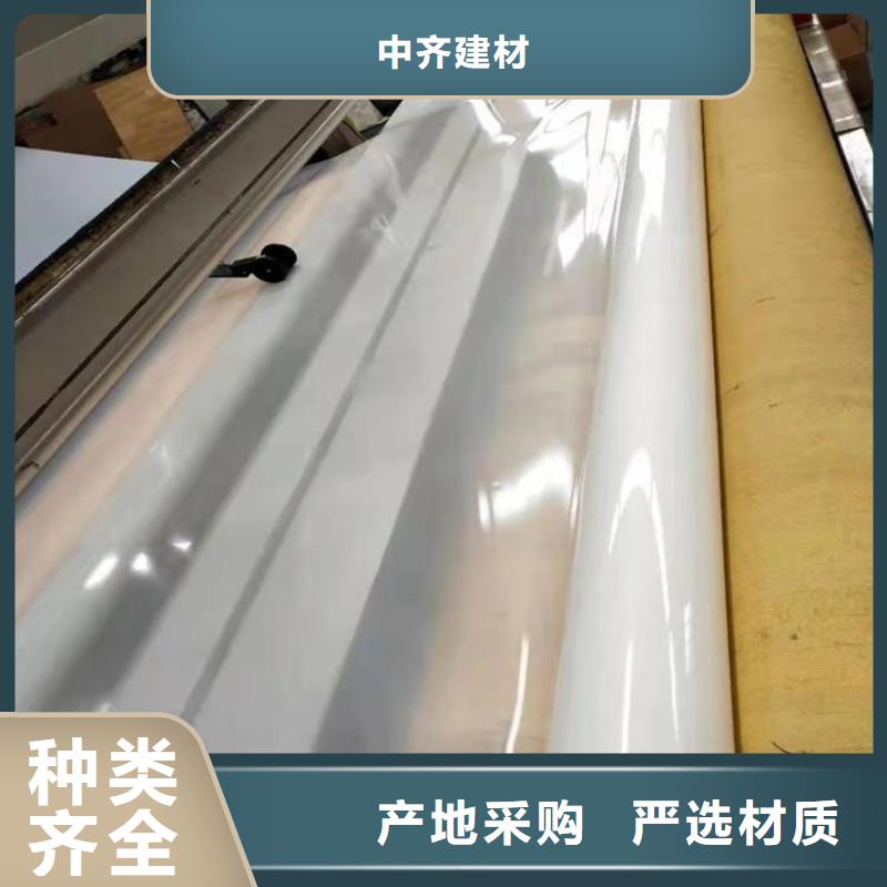 防水板雙向土工格柵貨源充足