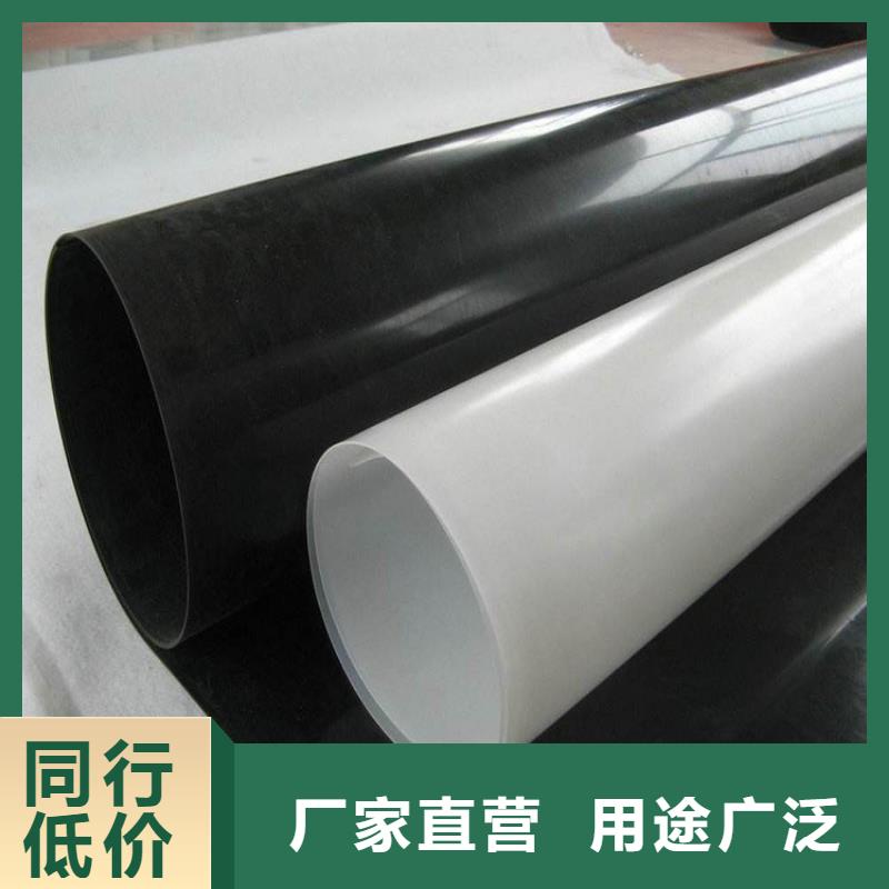 防水板双向土工格栅货源充足