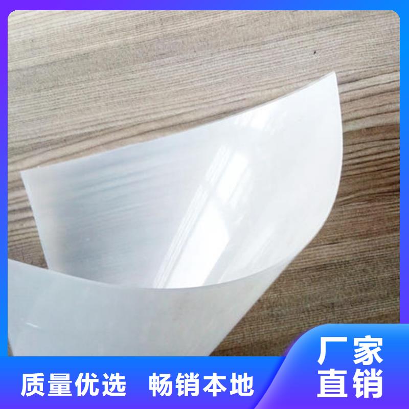 防水板雙向土工格柵貨源充足