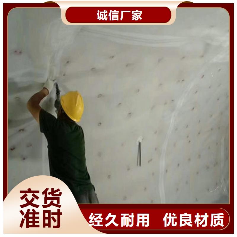 防水板雙向土工格柵貨源充足