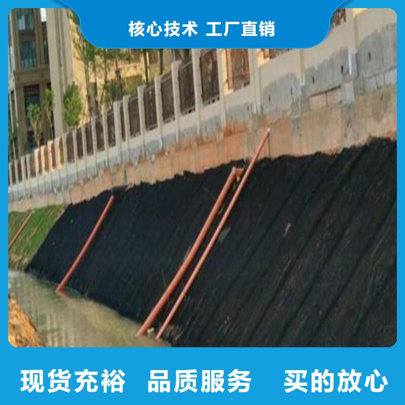水土保護毯-土工格柵廠家貨源