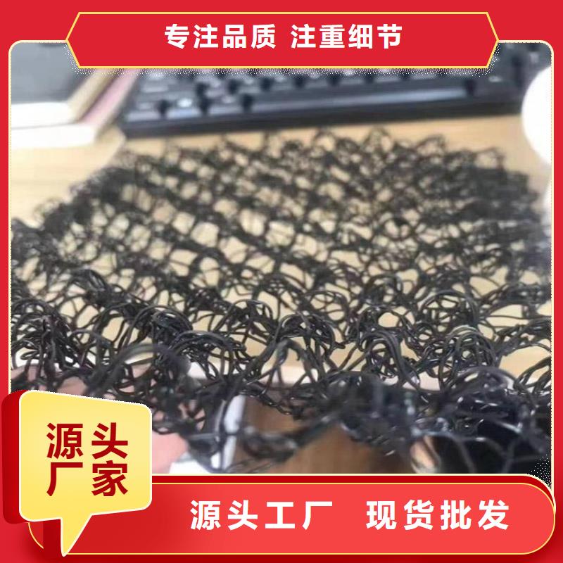 水土保護毯-土工格柵廠家貨源