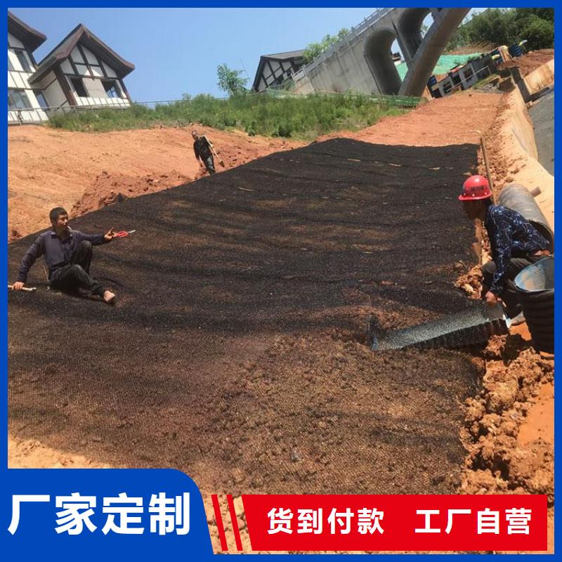水土保護(hù)毯-防滲膜定制零售批發(fā)