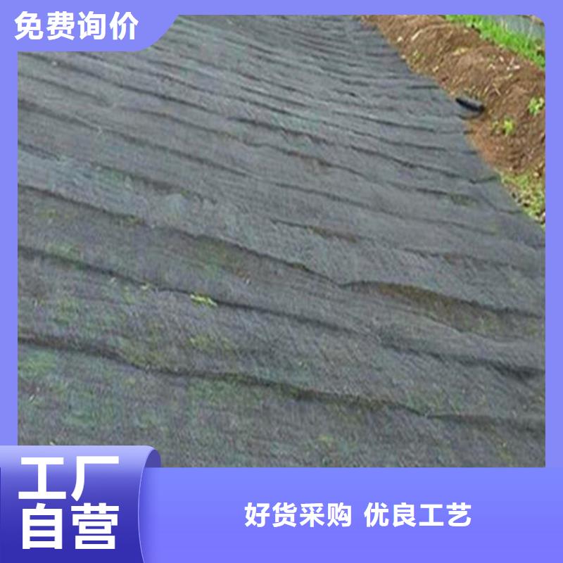水土保護毯-塑料格柵快捷的物流配送
