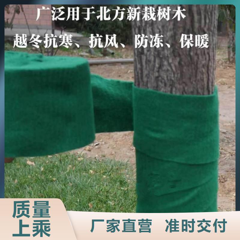 裹树布,防水板价格合理