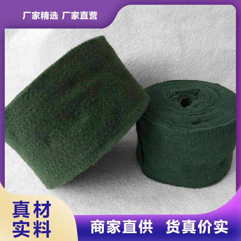 裹树布土工格栅口碑好实力强