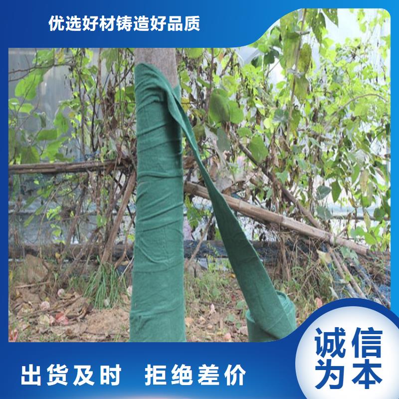 裹樹布防裂貼精致工藝