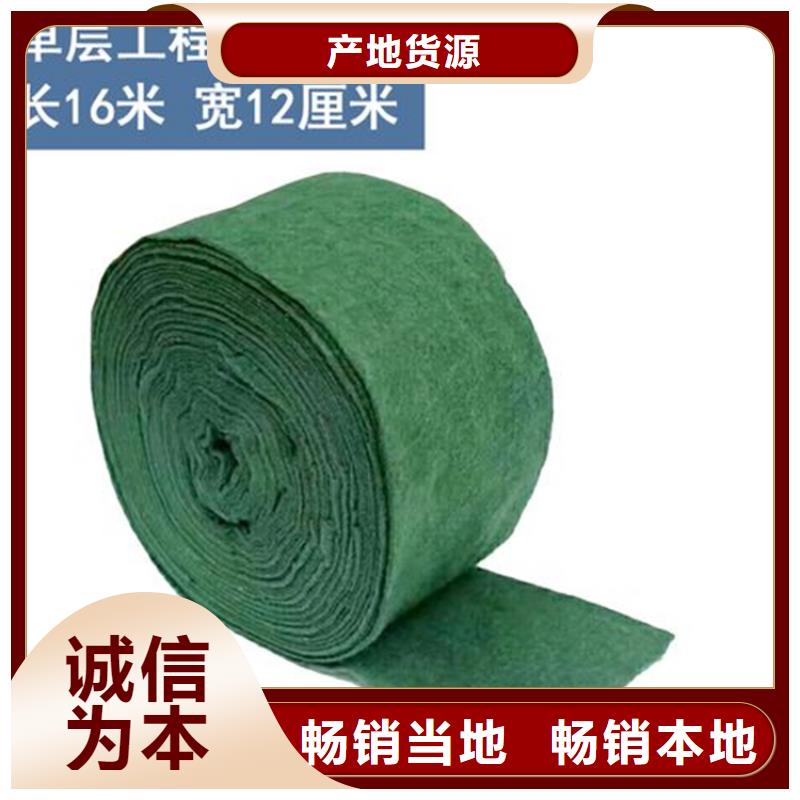 裹树布土工格栅口碑好实力强