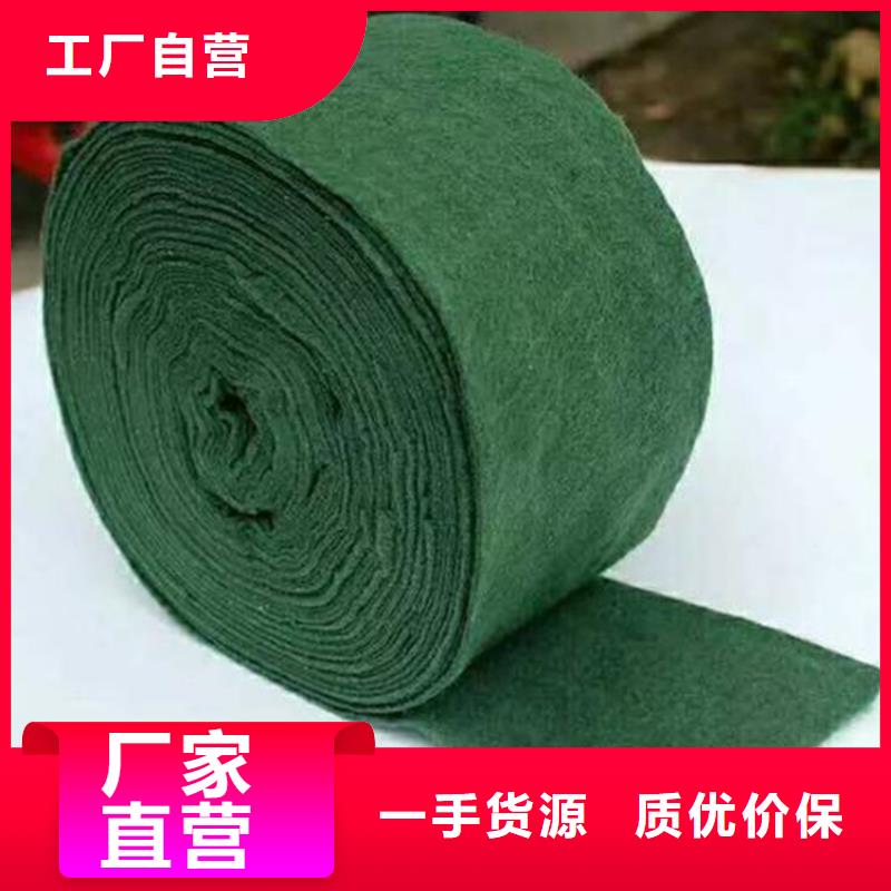 裹树布防水板欢迎来厂考察