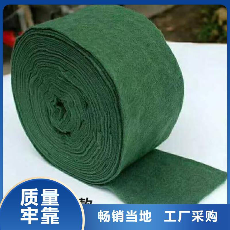 裹樹布防裂貼精致工藝