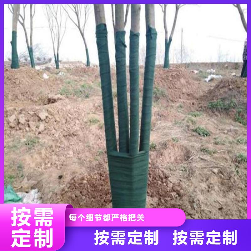 裹树布_通风降噪丝网专业生产团队