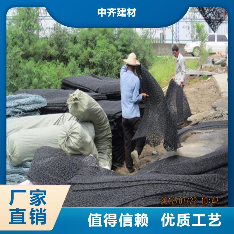 土工席垫土工格栅厂家直销货源充足