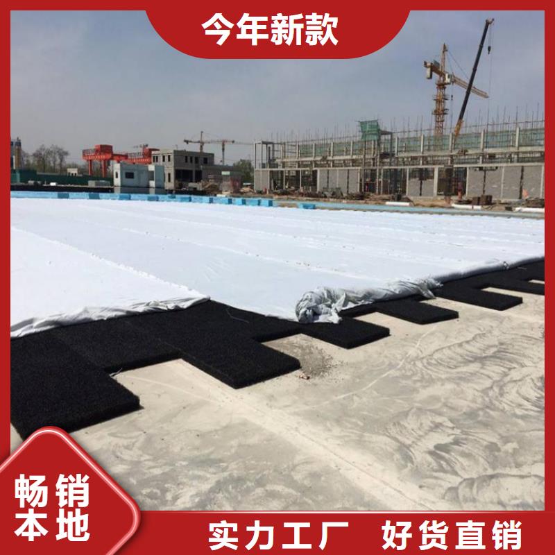 土工席墊_【防裂貼】擁有核心技術優(yōu)勢
