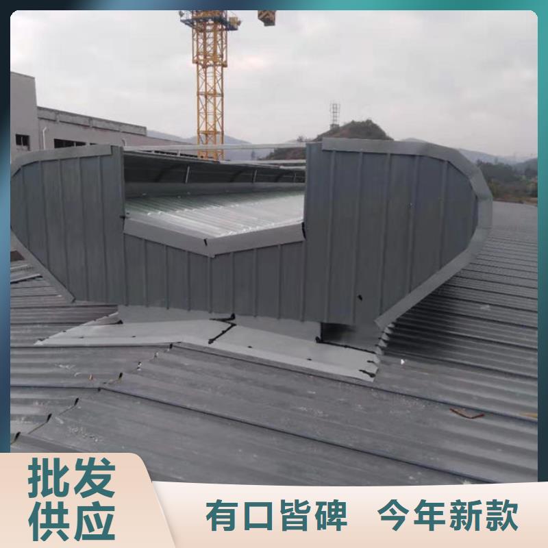 9型通风天窗（开敞式屋脊天窗）侧立面图