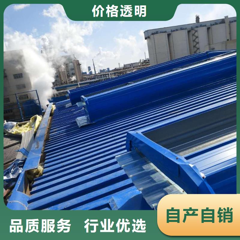 通風(fēng)天窗無動力通風(fēng)機(jī)價(jià)格低