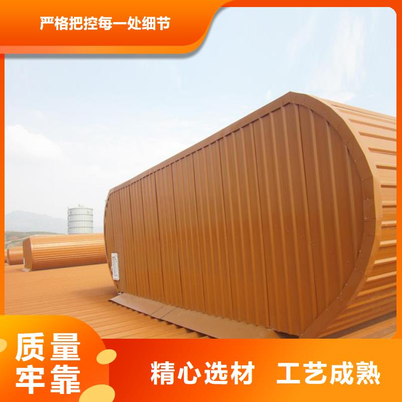 通風(fēng)天窗 負(fù)壓風(fēng)機今年新款