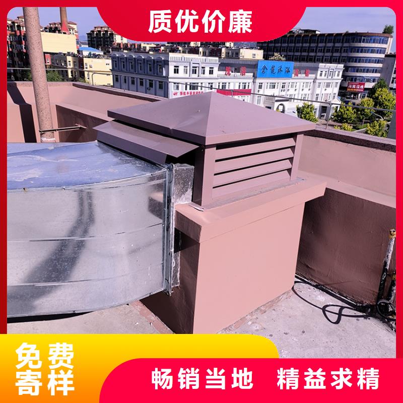 龍巖C-FD防倒灌風(fēng)帽尺寸均可定做