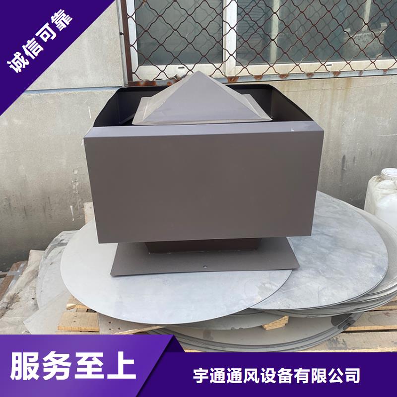 价格低的止回式风帽实体厂家