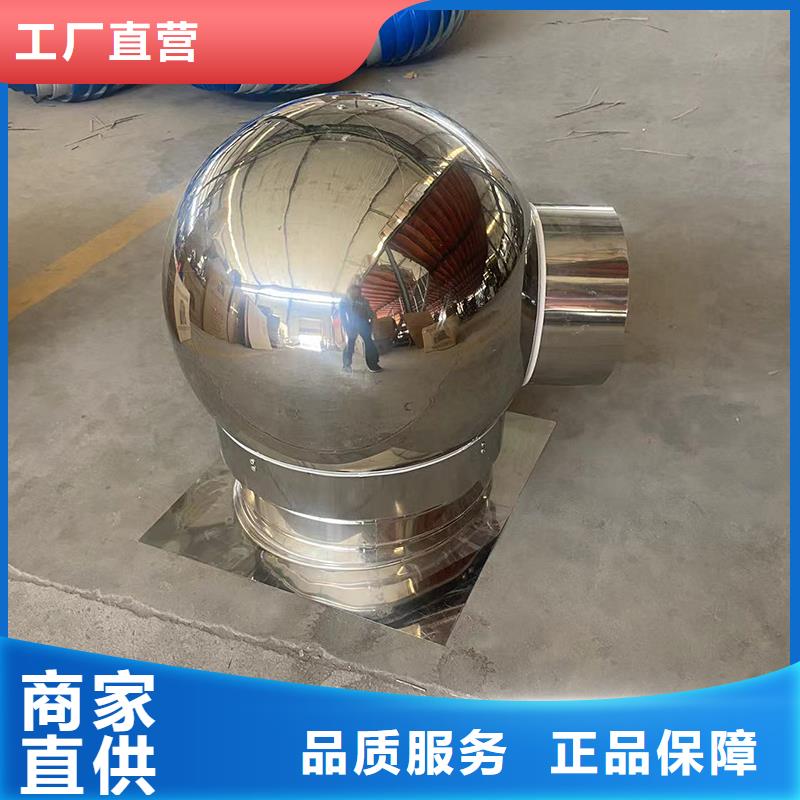 服务周到的C-FD防倒灌风帽经销商
