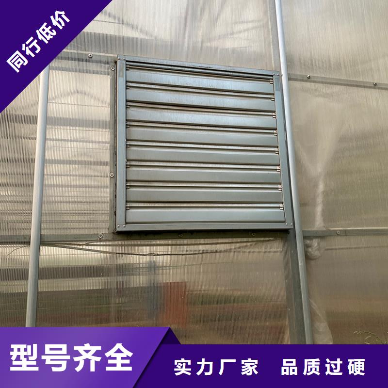 畜牧重錘式大功率抽風(fēng)機(jī)大量供應(yīng)廠家