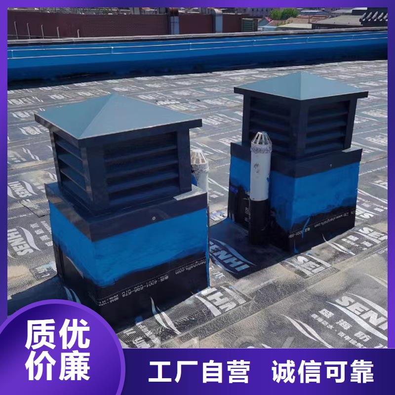 變壓式風帽誠信廠家