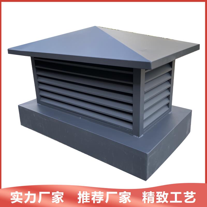 安徽C系列防倒灌風(fēng)帽品質(zhì)保障